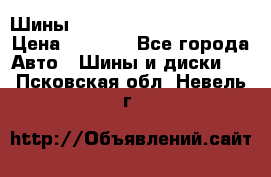 Шины bridgestone potenza s 2 › Цена ­ 3 000 - Все города Авто » Шины и диски   . Псковская обл.,Невель г.